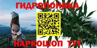 стафф Новокубанск