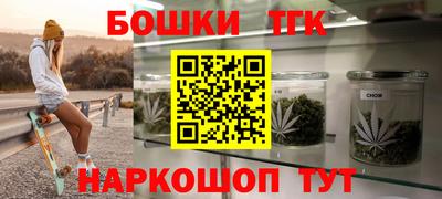 гашик Новодвинск