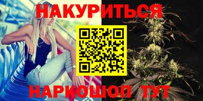 гашик Новодвинск