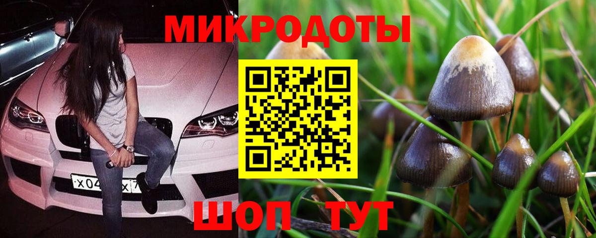 Псилоцибиновые грибы мицелий  Галлюциногенные грибы Psilocybe  Рыбинск  Вход с VPN 